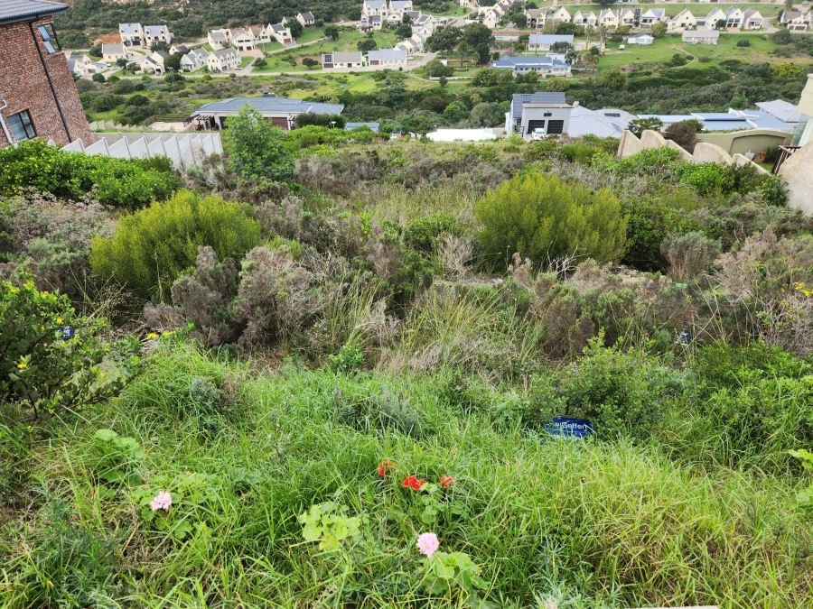 0 Bedroom Property for Sale in Island View Western Cape